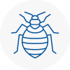 Bed Bug Extermination In En5