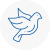 Bird Prevention En5
