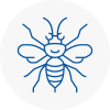 En5 Hornet Nest Removals