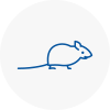 Mice Exterminators In En5