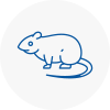 Rat Control En5