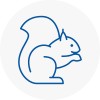 En5 Rodent Removals