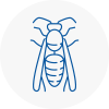 En5 Wasp Nest Removal